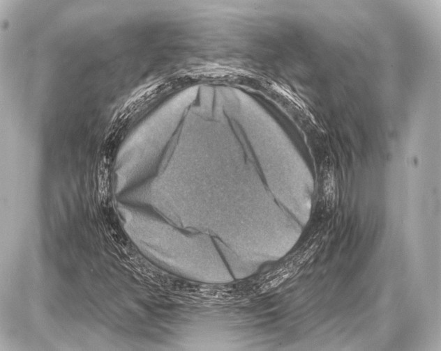 X0000087011350200705141821