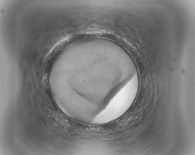 X0000087011351200705141821