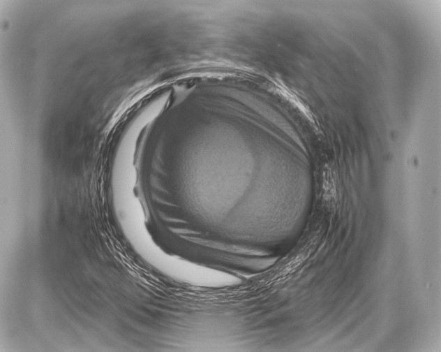 X0000087011352200705141821