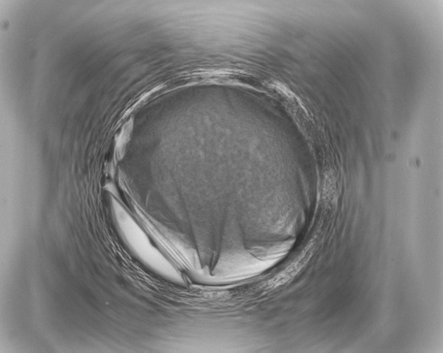 X0000087011353200705141821