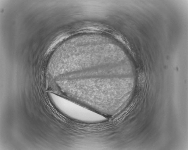 X0000087011355200705141821