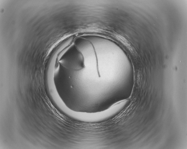 X0000087011356200705141821