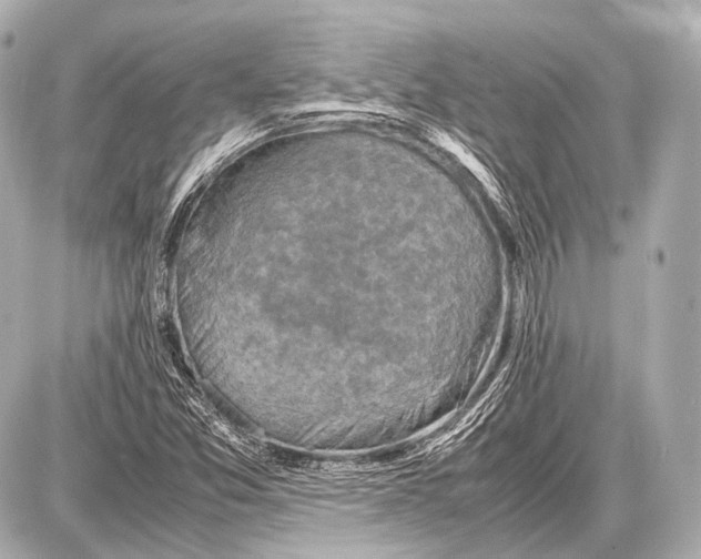 X0000087011357200705141821