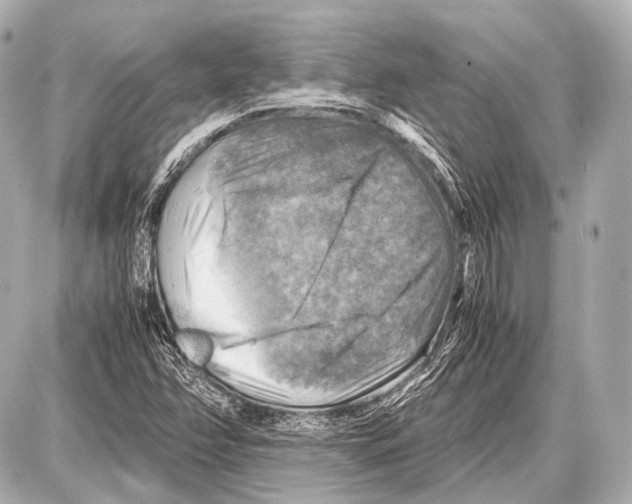 X0000087011358200705141821