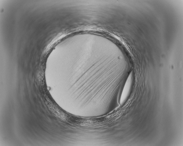 X0000087011359200705141821