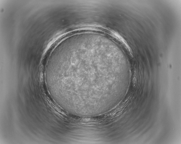 X0000087011360200705141821