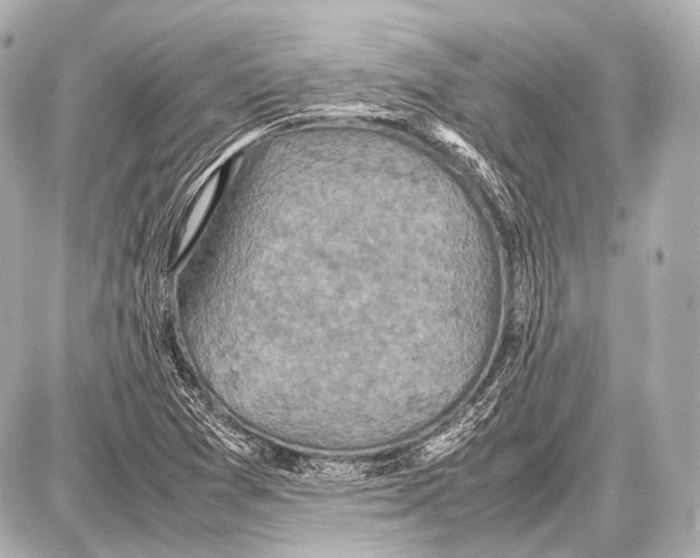 X0000087011361200705141821