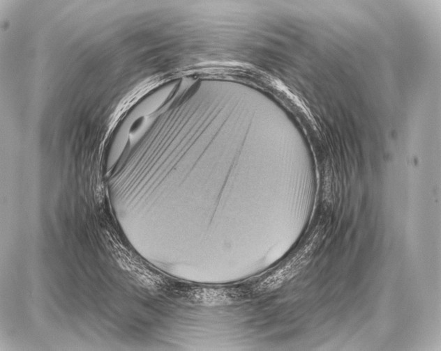 X0000087011362200705141821