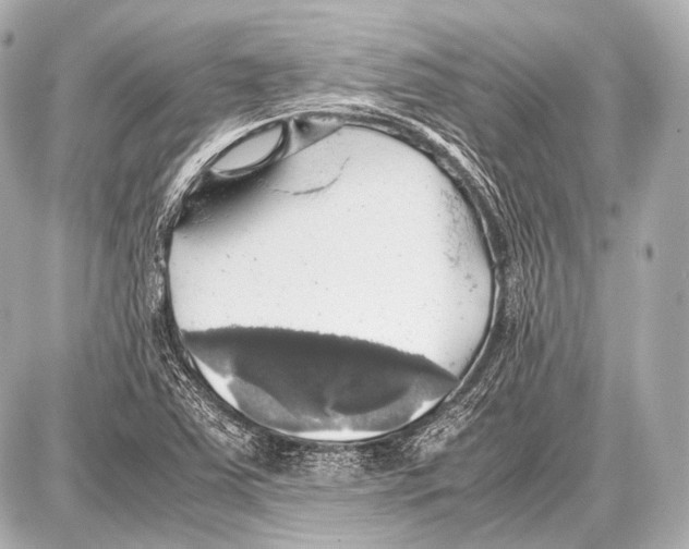 X0000087011363200705141821