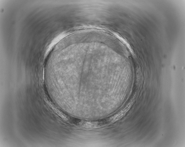 X0000087011365200705141821