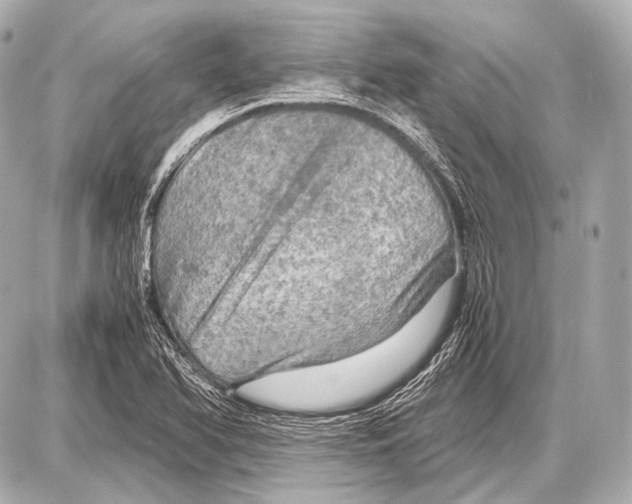 X0000087011366200705141821