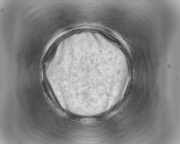 X0000087011368200705141821