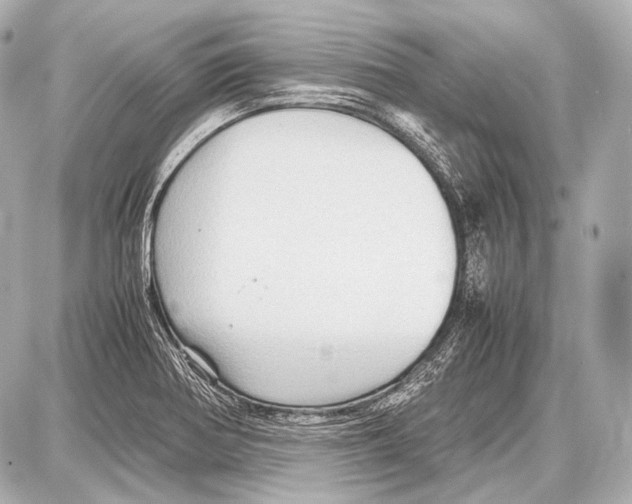 X0000087011370200705141821