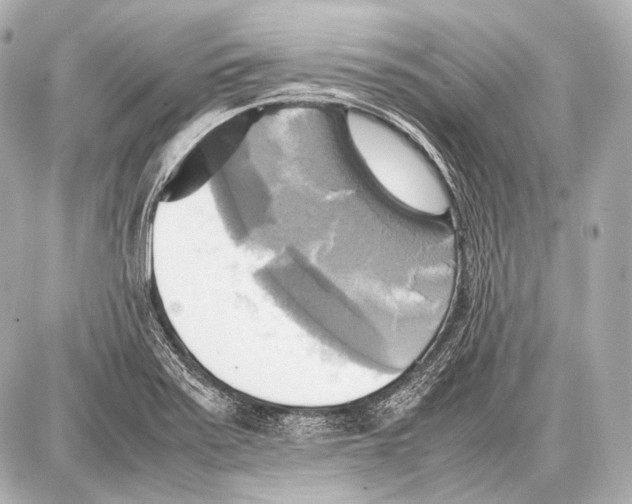 X0000087011371200705141820