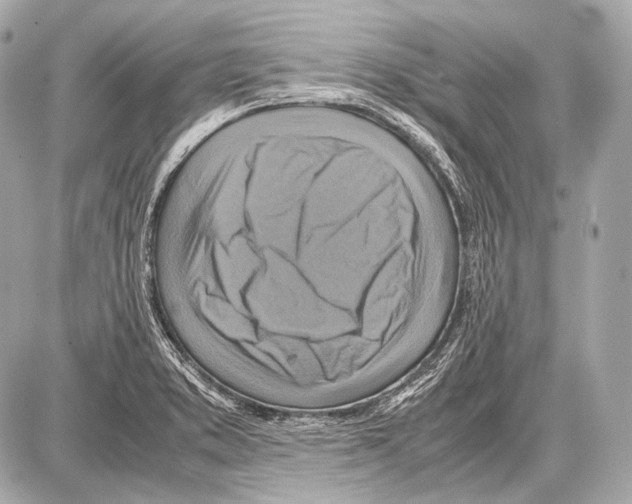 X0000087011373200705141820