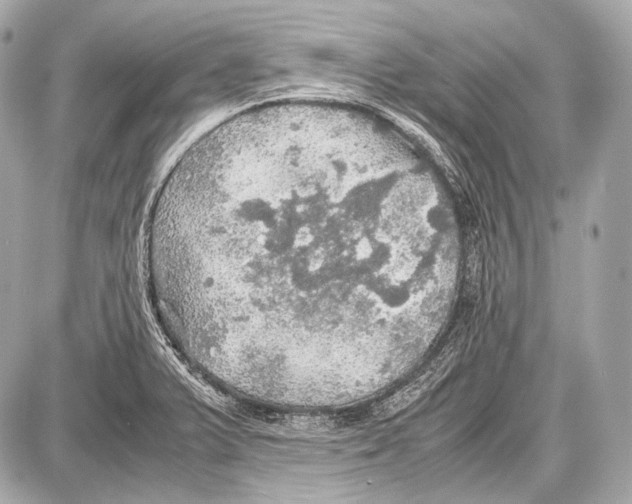 X0000087011375200705141820