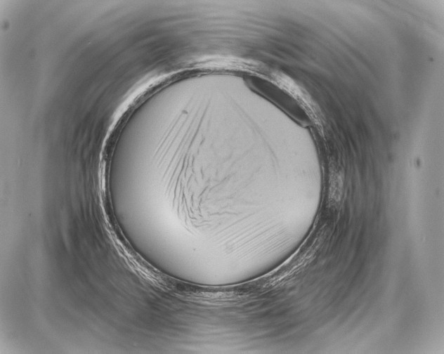 X0000087011376200705141820