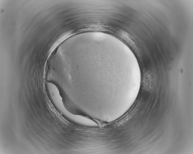 X0000087011378200705141820