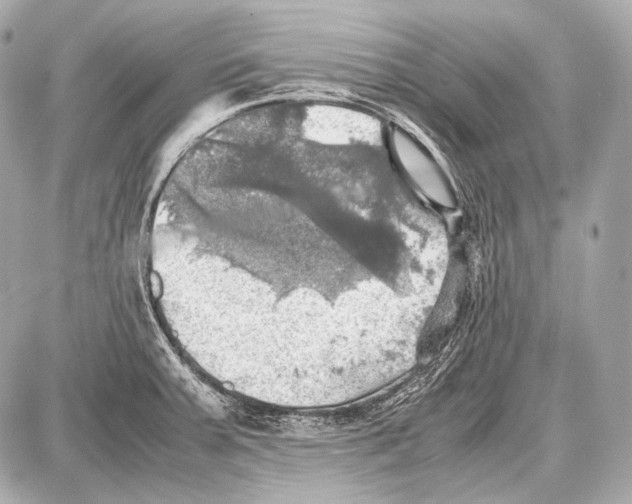 X0000087011379200705141820