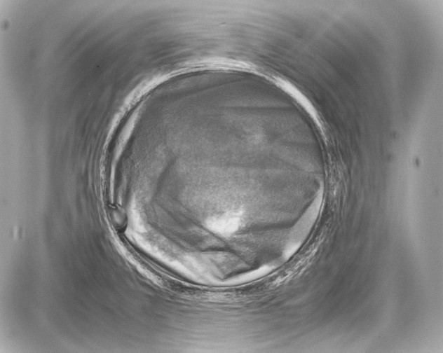 X0000087011381200705141820