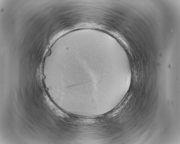 X0000087011382200705141820