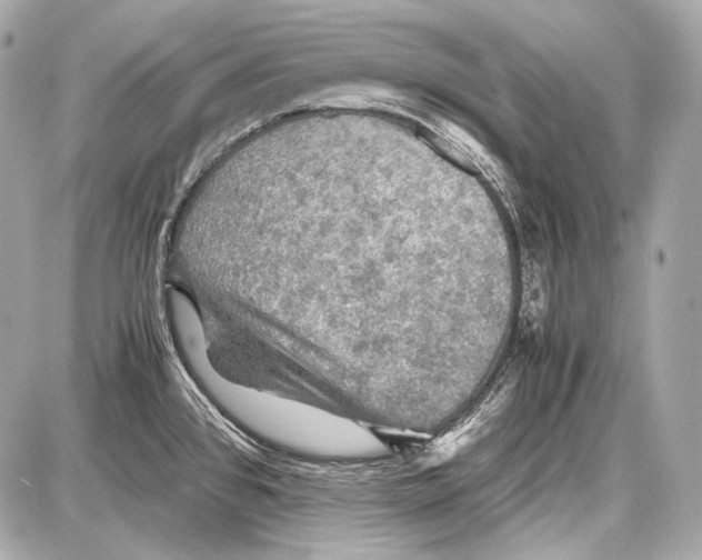 X0000087011384200705141820