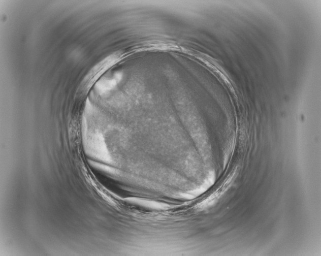 X0000087011385200705141820