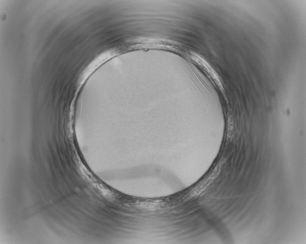 X0000087011386200705141820