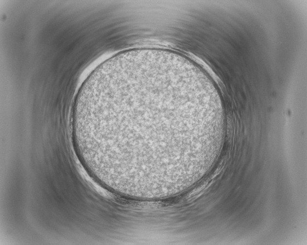 X0000087011387200705141820