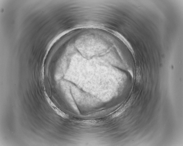 X0000087011388200705141820