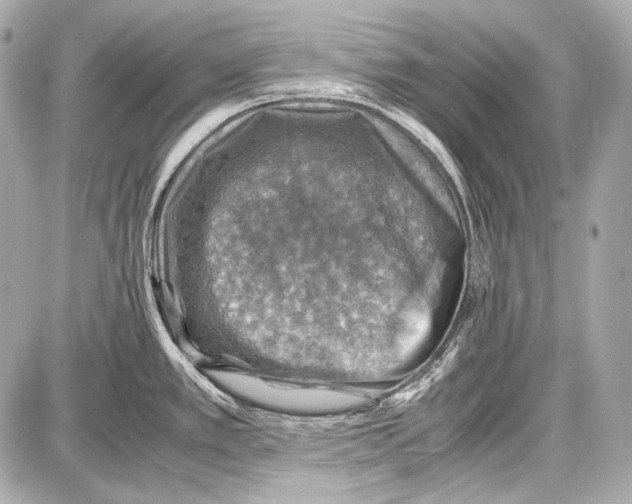 X0000087011389200705141820