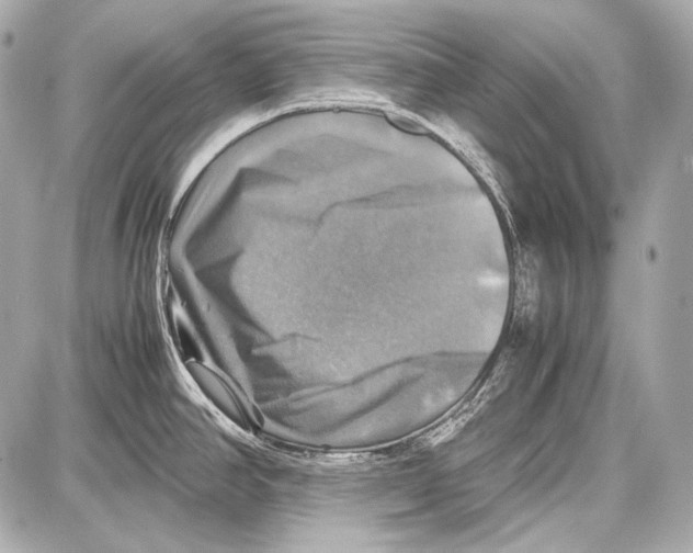 X0000087011390200705141820