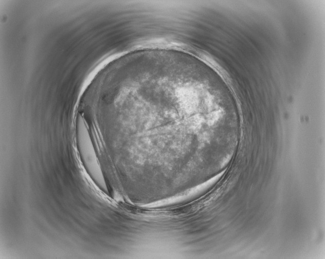 X0000087011392200705141820