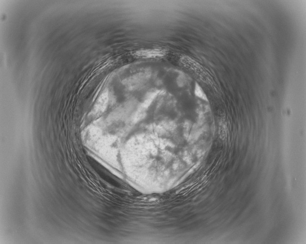 X0000087011393200705141819