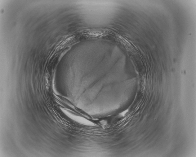 X0000087011394200705141819