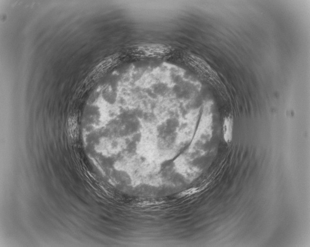 X0000087011395200705141819