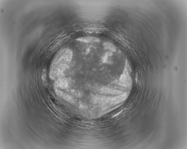 X0000087011396200705141819