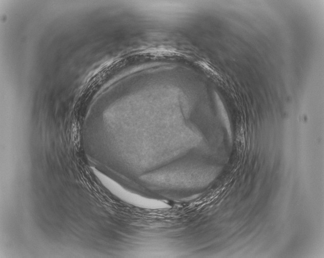 X0000087011398200705141819