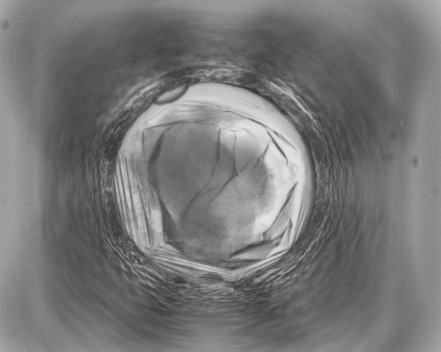 X0000087011399200705141819