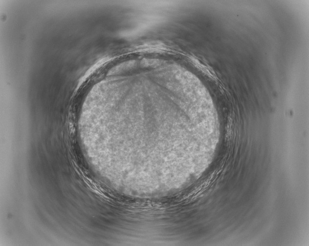 X0000087011400200705141819