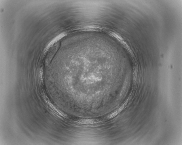 X0000087011402200705141820