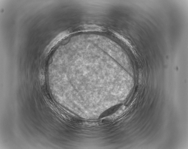 X0000087011407200705141820