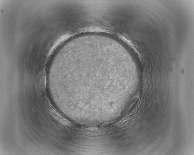 X0000087011408200705141820