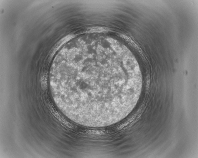 X0000087011409200705141820