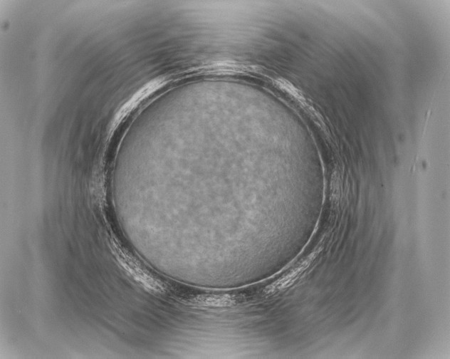 X0000087011410200705141820