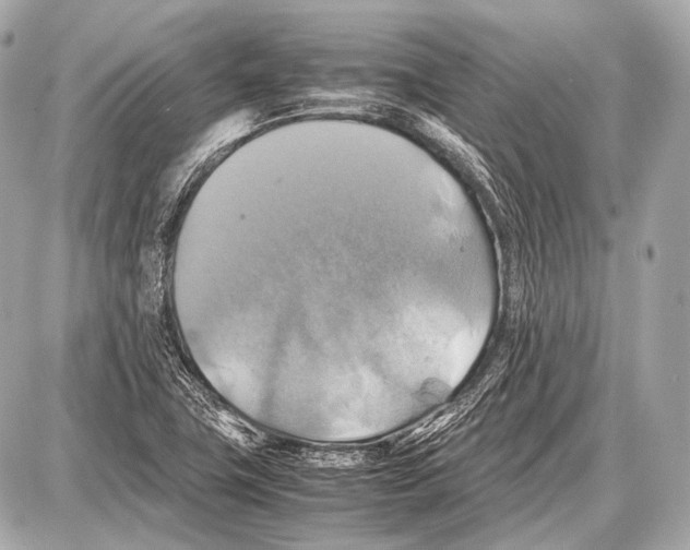 X0000087011411200705141820