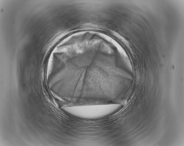 X0000087011415200705141820