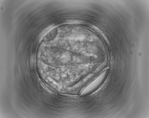 X0000087011417200705141820