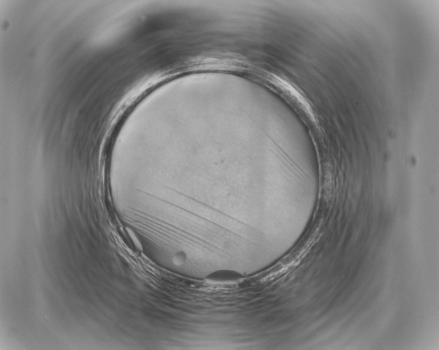 X0000087011419200705141820