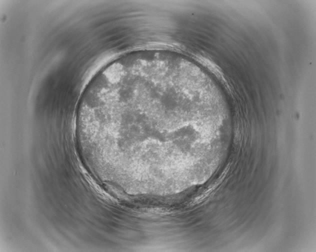 X0000087011420200705141820